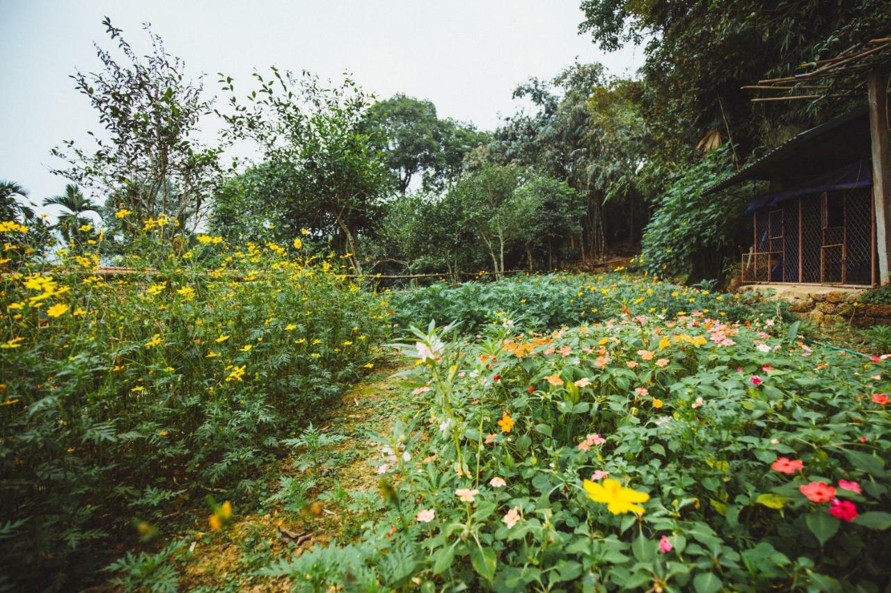 Bavi Homestead Ba Vi Exterior photo